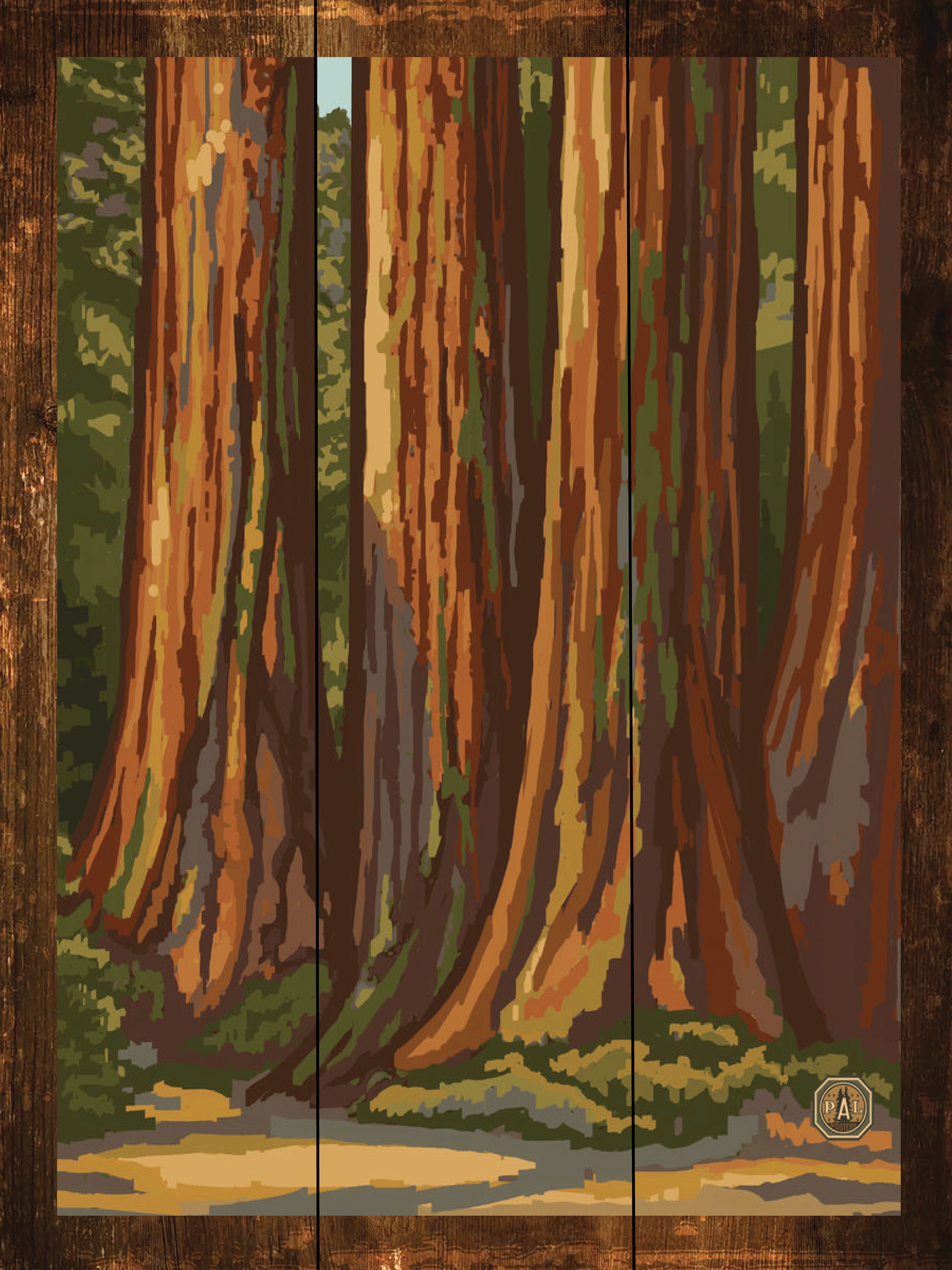 Redwood Forest - Wilderness Wall Art - Art on Wood USA
