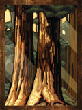 Redwood Sunlight - Wilderness Wall Art - Art on Wood USA